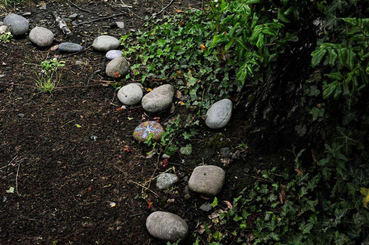 golden gravel for garden spread evenly over compacted base layer with landscape fabric visible at edge