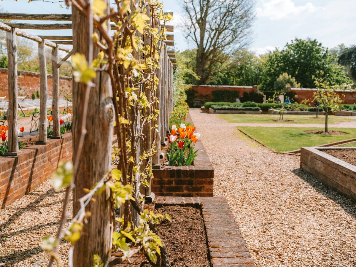 Using gravel in landscaping on a clean, edged garden pathway beside drought-tolerant perennials and low stone border