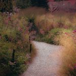 Golden Gravel for Garden: 7 Proven Reasons This Stunning Stone Beats Mulch (and When It’s a Terrible Idea)