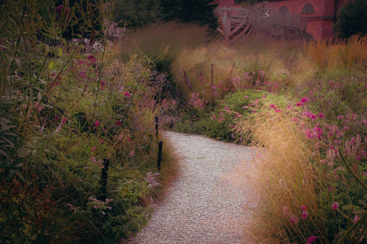Golden Gravel for Garden: 7 Proven Reasons This Stunning Stone Beats Mulch (and When It’s a Terrible Idea)