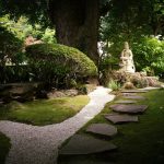 Gravel for Yard Landscaping: 7 Proven Ways to Avoid Costly Mistakes