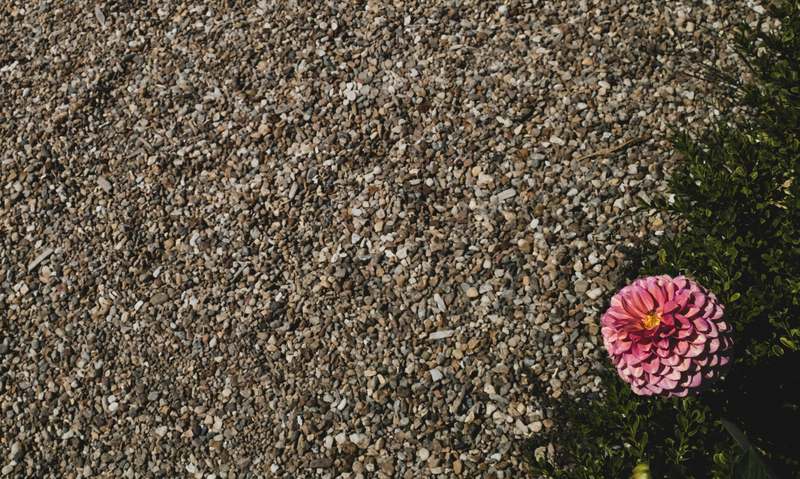Homepage for Home Improvement Gardening & Outdoor Decor garden gravel